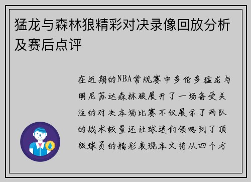 猛龙与森林狼精彩对决录像回放分析及赛后点评